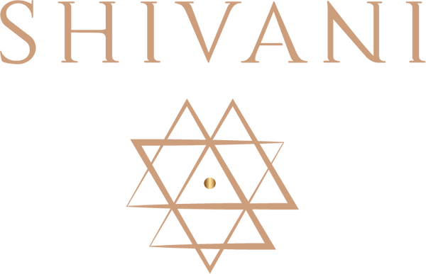Shivani Divine Wear