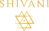 Shivani Divine Wear